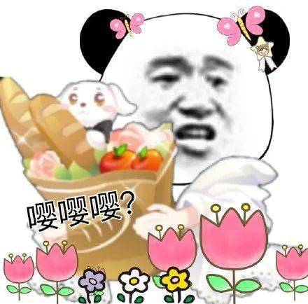 别爱我,没结果