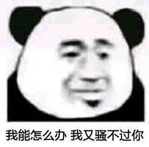 你们最爱的熊猫头表情包