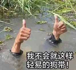 只要你心中有海,广州都可以系水城