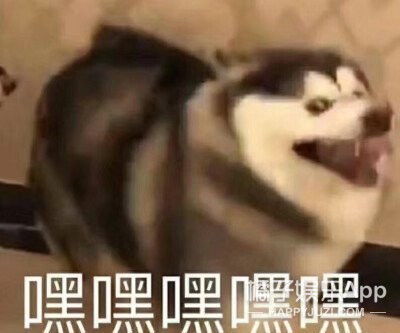 别计划了,你们现在立刻结婚