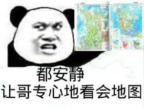笑尿了原来每个专业都有专属表情包,来看看你的是什么