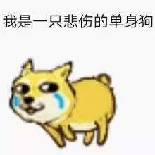 晒出游情侣照结果出炉啦
