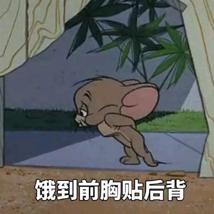 100张无敌沙雕又可爱的表情包好看死了快来收图