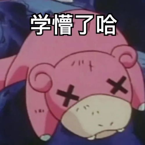 学习类表情包,一看就是好学生