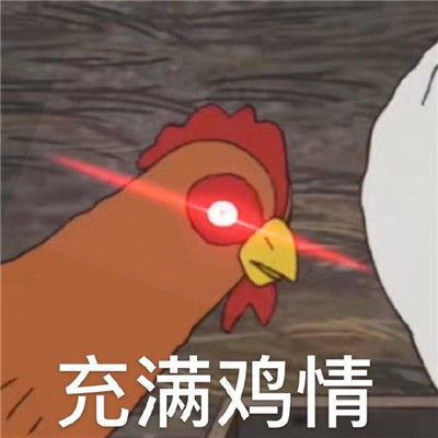 很火热门的你鸡道吗表情包你鸡不鸡道表情包