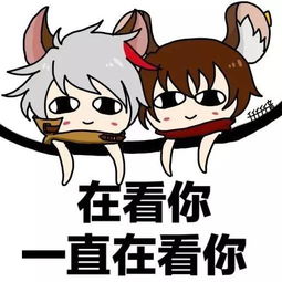 摸鱼鱼表情包什么意思王者荣耀