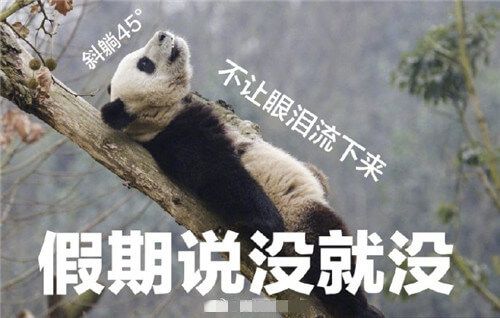2020年假期全部结束表情包下载