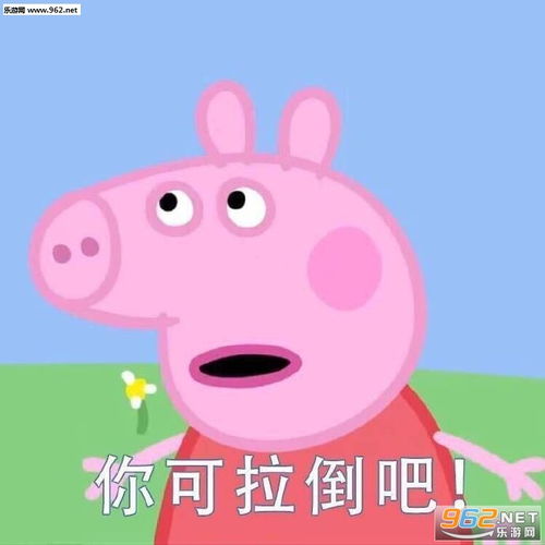 你可拉倒吧小猪佩奇表情包保护小猪佩奇抵制吹头小猪佩奇吹风机表情包图片下载乐游网游戏下载
