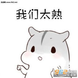 下载表情包的软件仓鼠