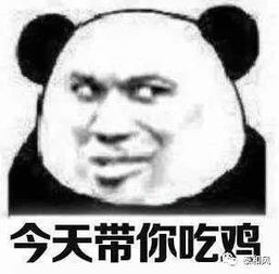 关注看看泰和本土原创的乌鸡仙子表情包是咋样