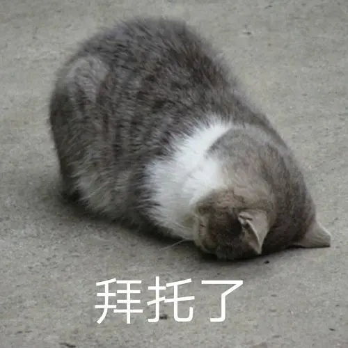 应届生考公失败,现在有两个选择有人可以帮忙看看吗