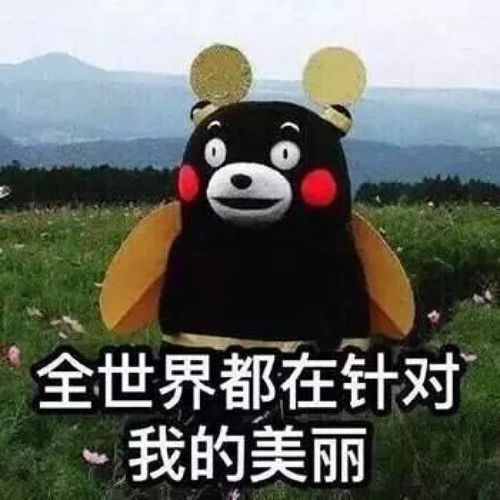熊本熊表情包热吗