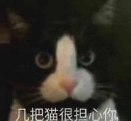 lucky表情包动图摇头醒了