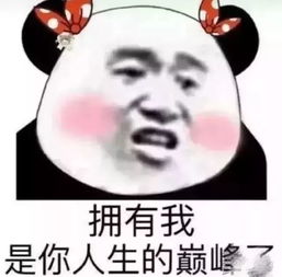 注意注意,多图预警想偷表情包的小伙伴们做好准备
