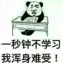 爱的训练课一天