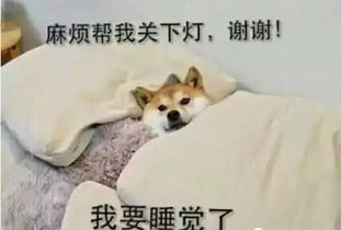 越休息越累不想让休闲时间白过,现在看这篇文章还不晚