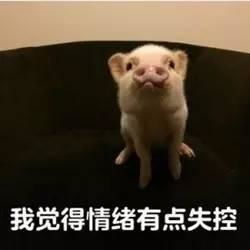 娶个老婆是护士是怎样一种体验
