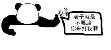 熊猫金馆长表情包大搜罗,要的拿走啊搞笑频道