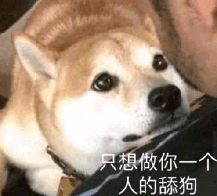 保安日记大全