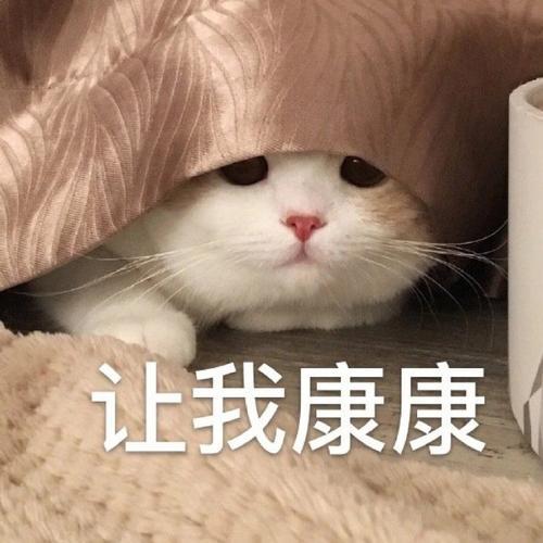 我辛辛苦苦备考一建,怎么就不能挂靠了