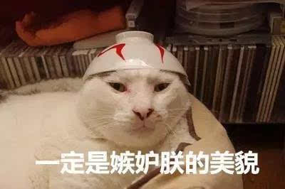 涨姿势倒背如流的十二生肖,为啥没有猫