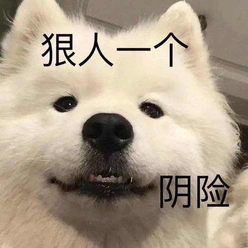 搞笑聊天表情包i你在教我做事啊