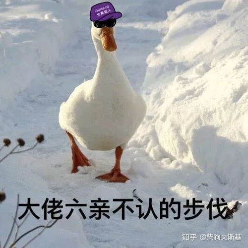 彩票中心终于要将国人的千年赌性终结了