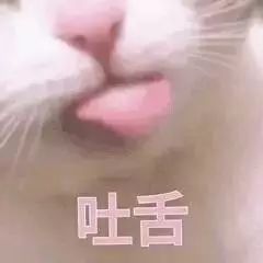 当代中国人的狂野,在起名字这件事上表现得淋漓尽致