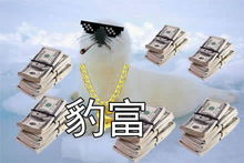 自豹自弃qq表情自豹自弃表情包高清版下载