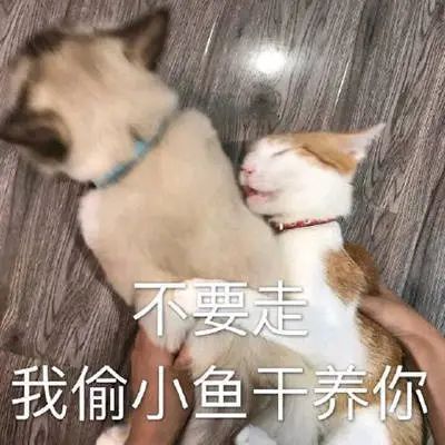 贴吧是不是必然会死