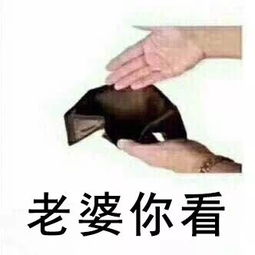 你们看我的钱包系列表情包下载你们看我的钱包表情包高清无水印极光下载站