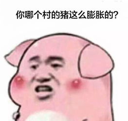 你的普通话标准程度属于哪个档看完之后....哈哈哈哈哈