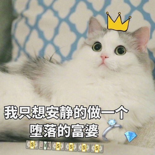 福布斯中国富豪学的这些专业,3证书高职高考也能报考