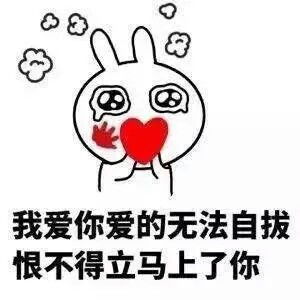 这表情包有毒意境美图同人动物键盘壁堆糖,美好生活研究所