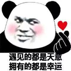 搞笑熊猫头撩妹表情包,女孩我十拿九稳
