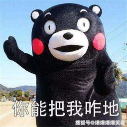 爆笑段子皇上在回房休息时,发现自己的玉玺被盗朋友