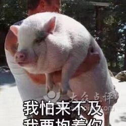金典石锅拌饭电话,地址,营业时间衢州美食
