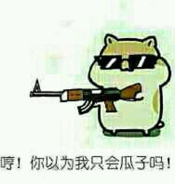 表情仓鼠抱瓜子可爱萌表情包聊天专用堆糖,美好生活研究所