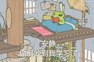 表情包爱上一只去旅行的青蛙,感觉自己当了妈