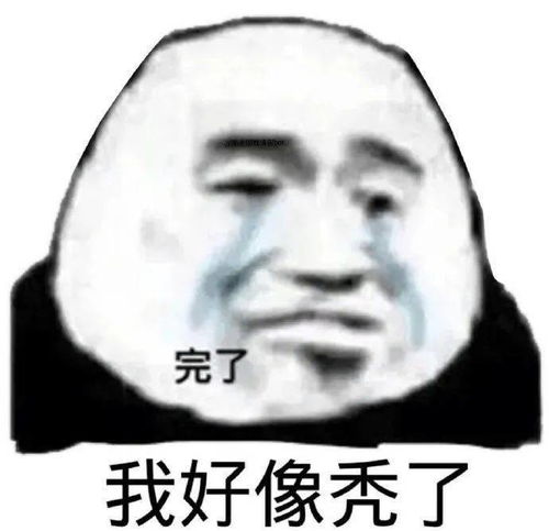 我还是你爱的小秃头吗