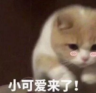 沙雕斗图表情包i你以为这样很好玩吗嗯