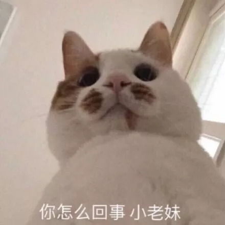 新版小龙女竟然是她能超越刘亦菲李若彤吗
