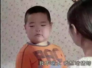谢腾飞与宋民国,当今表情包界霸屏之王