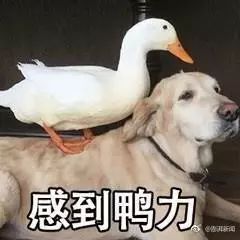 毛利小五郎那样被麻醉结果会如何他请教了麻醉医师