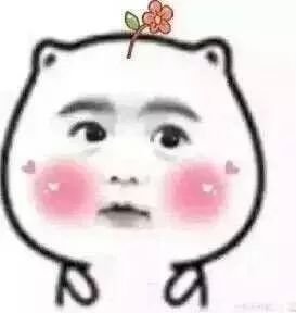 小老师表情包老师