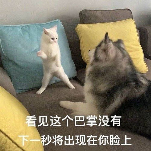 大早上把车刮了,想让老公顶罪他不干变成表情包楼