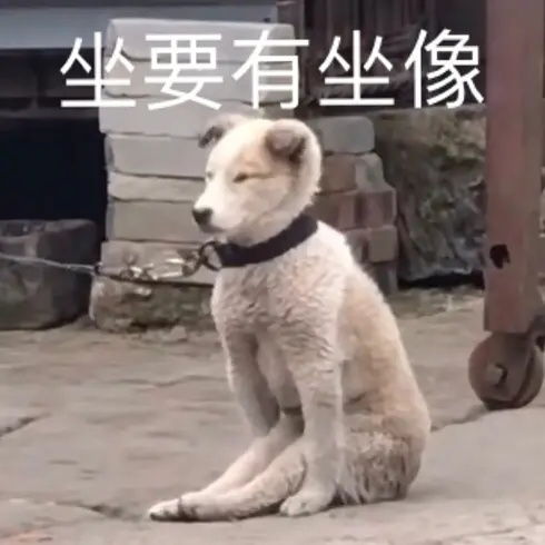 请问大家经济法陈小球老师怎么样