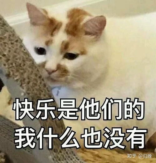 十二星座是什么样的