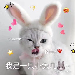 有没有那种沙雕又可爱的朋友圈文案