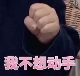 为研究南北方人有啥不同,他在星巴克摆了把椅子